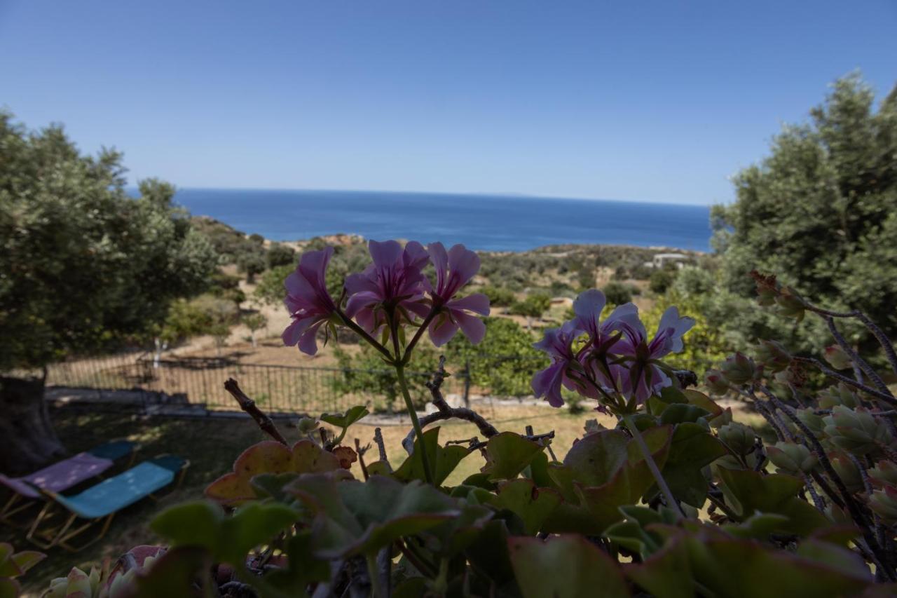 Manolis' House Villa Agia Paraskevi  Екстериор снимка