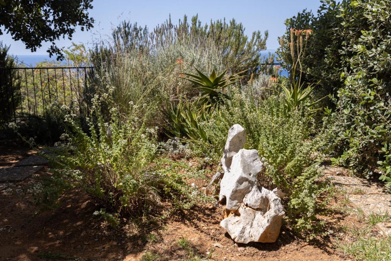 Manolis' House Villa Agia Paraskevi  Екстериор снимка